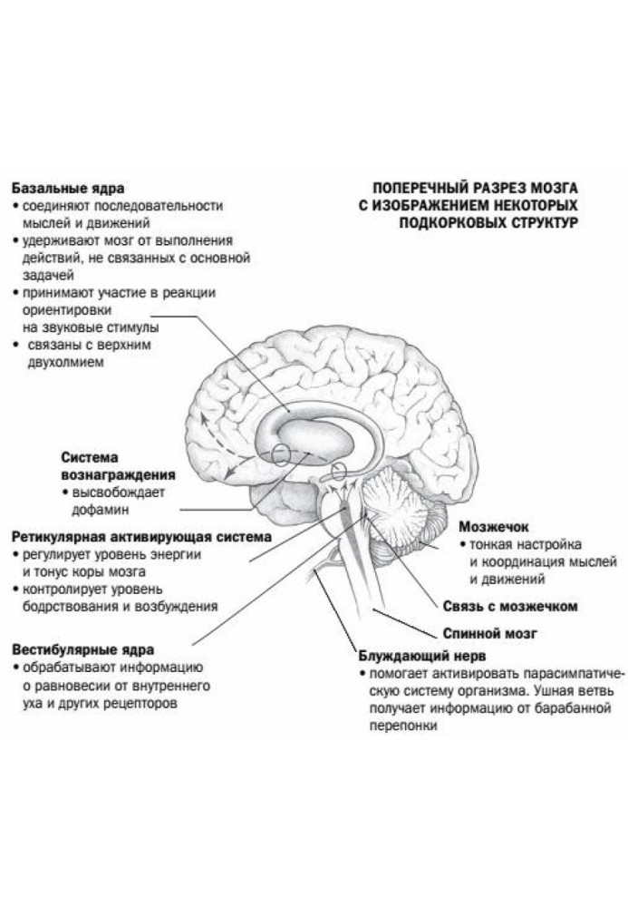 Мозг, исцеляющий себя. Реальные истории людей, которые победили болезни, преобразили свой мозг и обнаружили способности, о котор