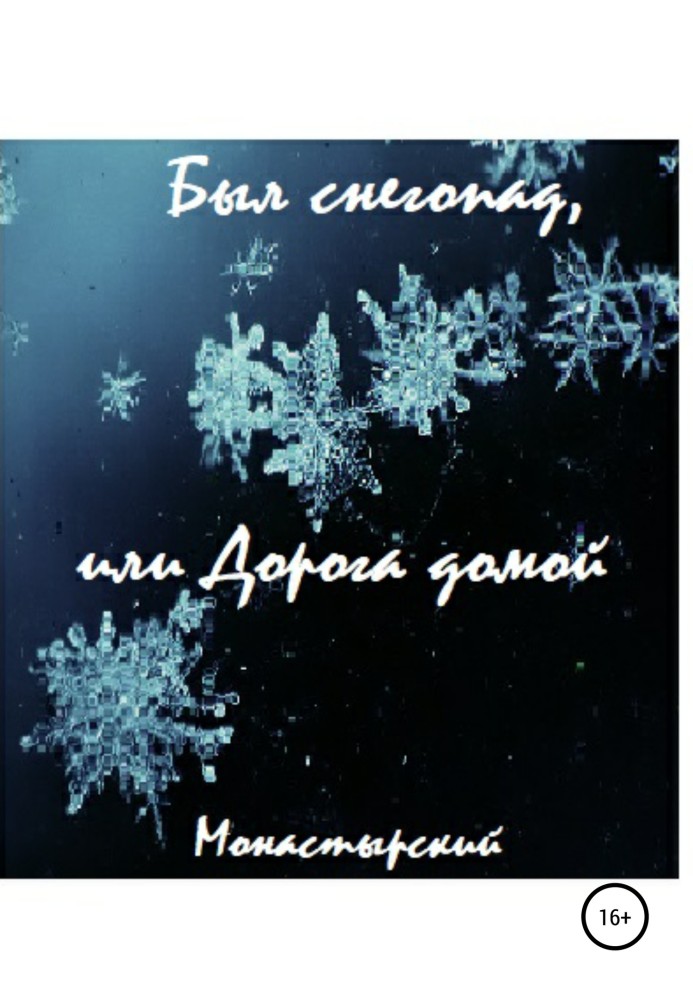 Був снігопад, або Дорога додому