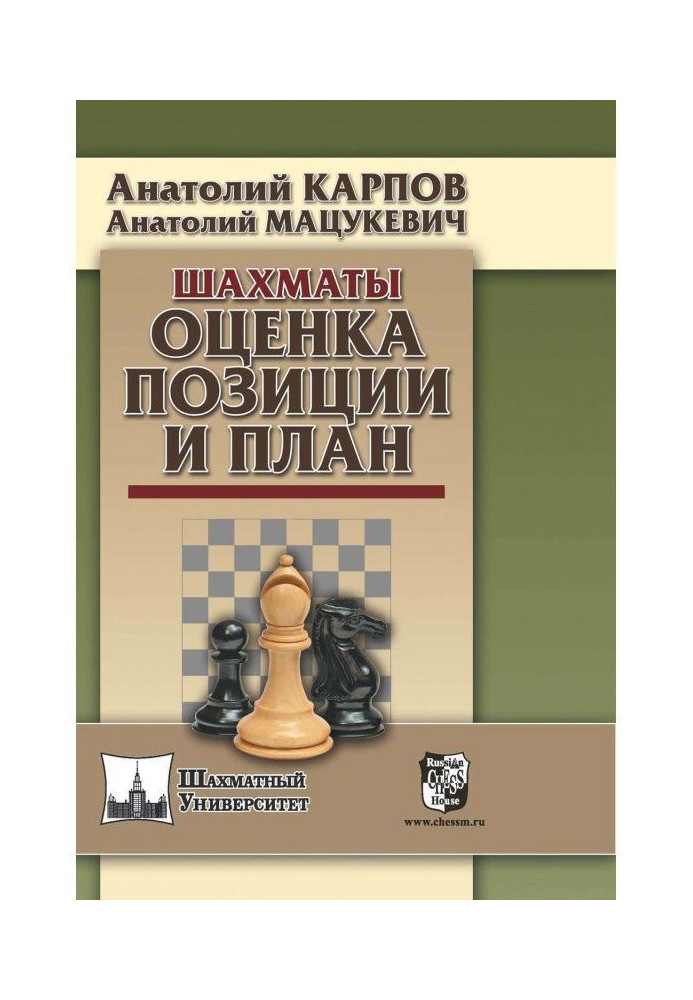 Chess. Estimation of position and plan