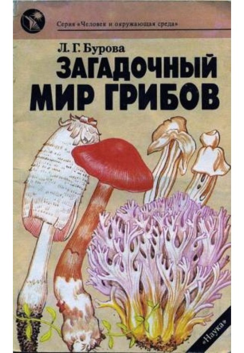 The mysterious world of mushrooms