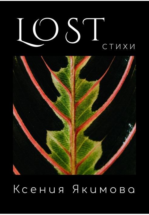 Lost. Poetry