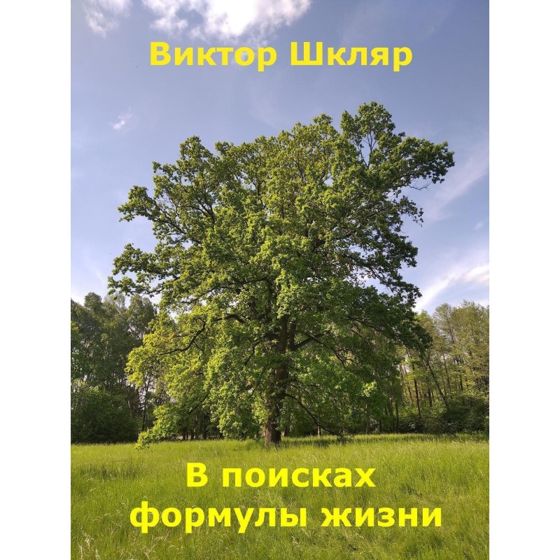 In search of the formula of...