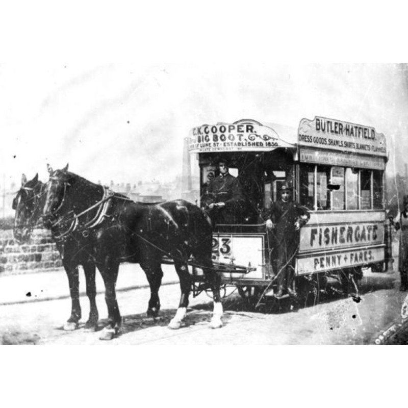 Horse-drawn carriage and...