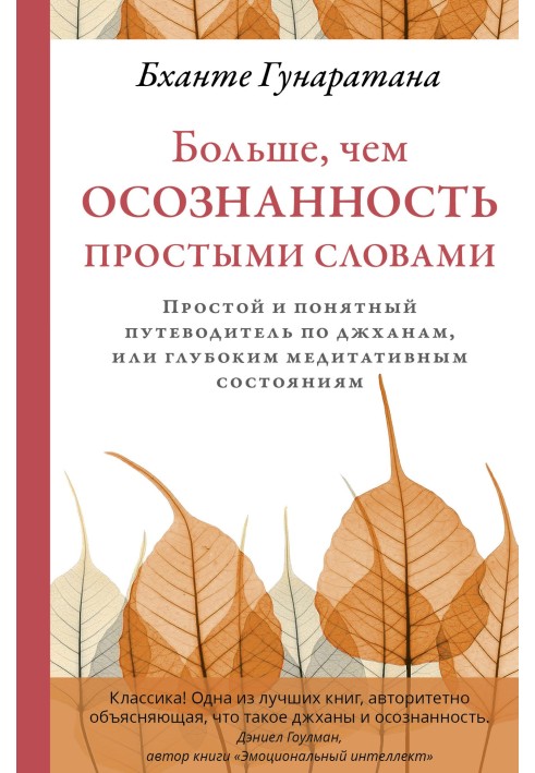 Больше, чем осознанность простыми словами. Простой и понятный путеводитель по джханам, или глубоким медитативным состояниям