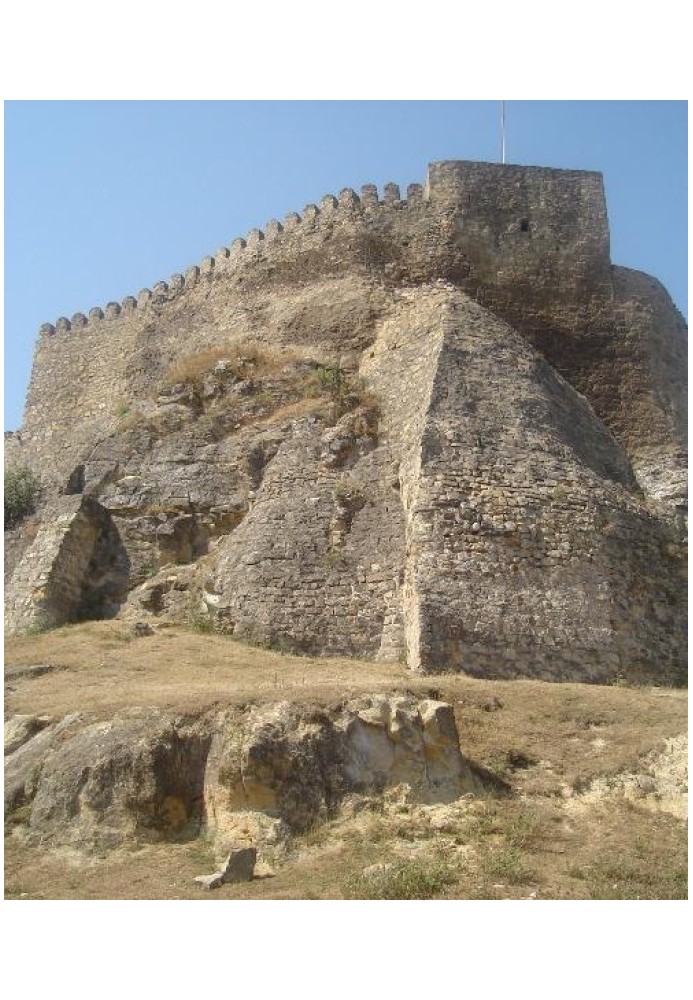 Surami fortress