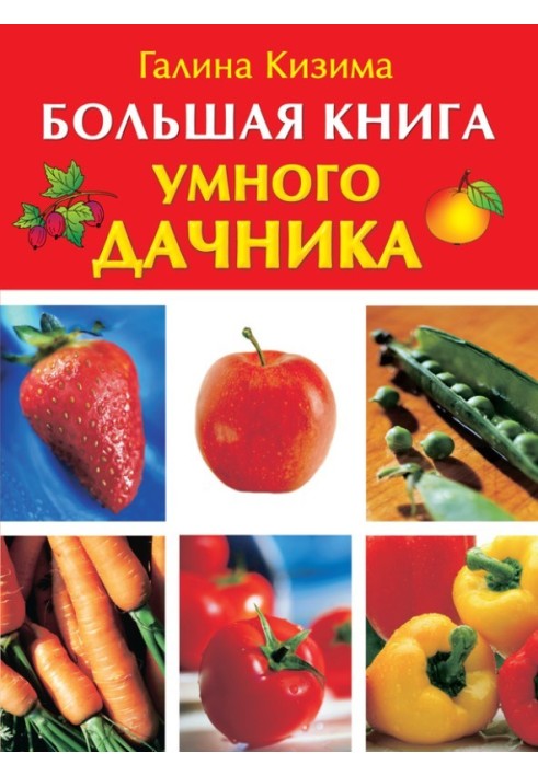 Большая книга умного дачника