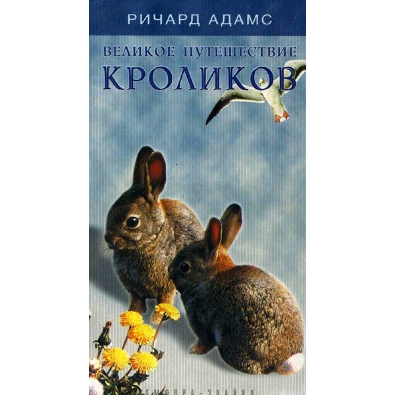 The Great Rabbit Journey