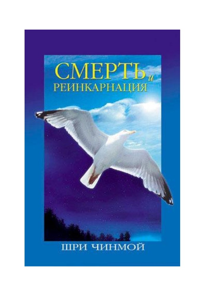 Смерть та реінкарнація: Подорож Вічності