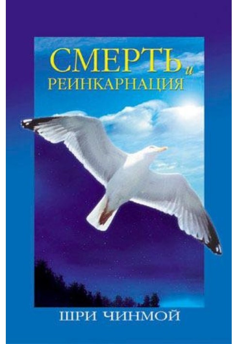 Смерть та реінкарнація: Подорож Вічності