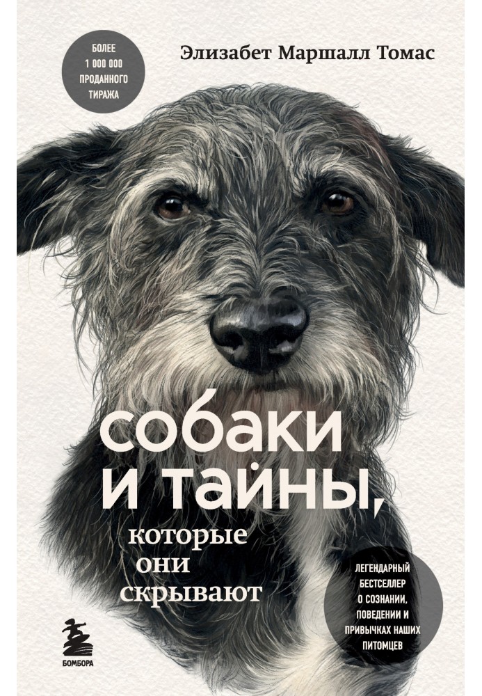 Собаки та таємниці, які вони приховують