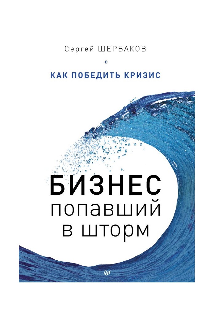 Бизнес, попавший в шторм. Как победить кризис