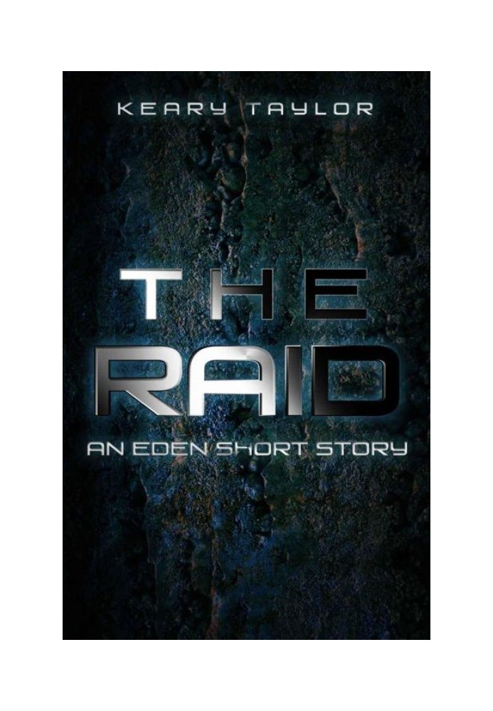 The Raid