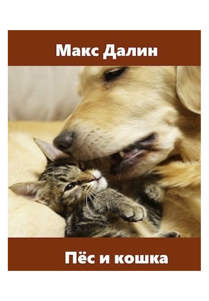 Dog and cat