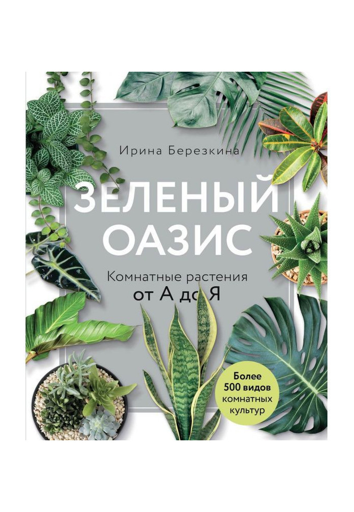 Зелений оазис. Кімнатні рослини від А до Я