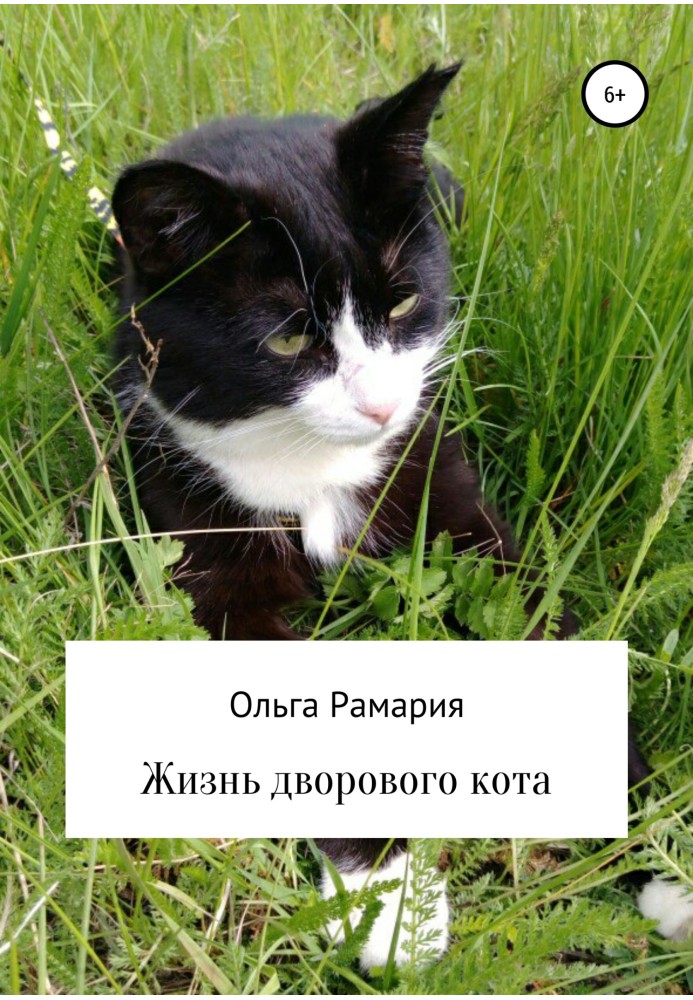 Життя дворового кота