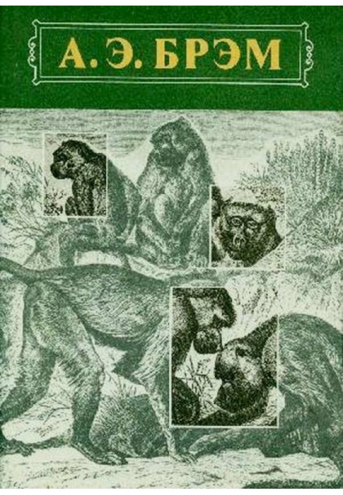 Animal Life Volume I Mammals