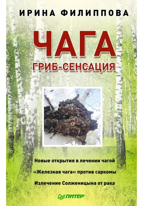 Chaga. Mushroom sensation