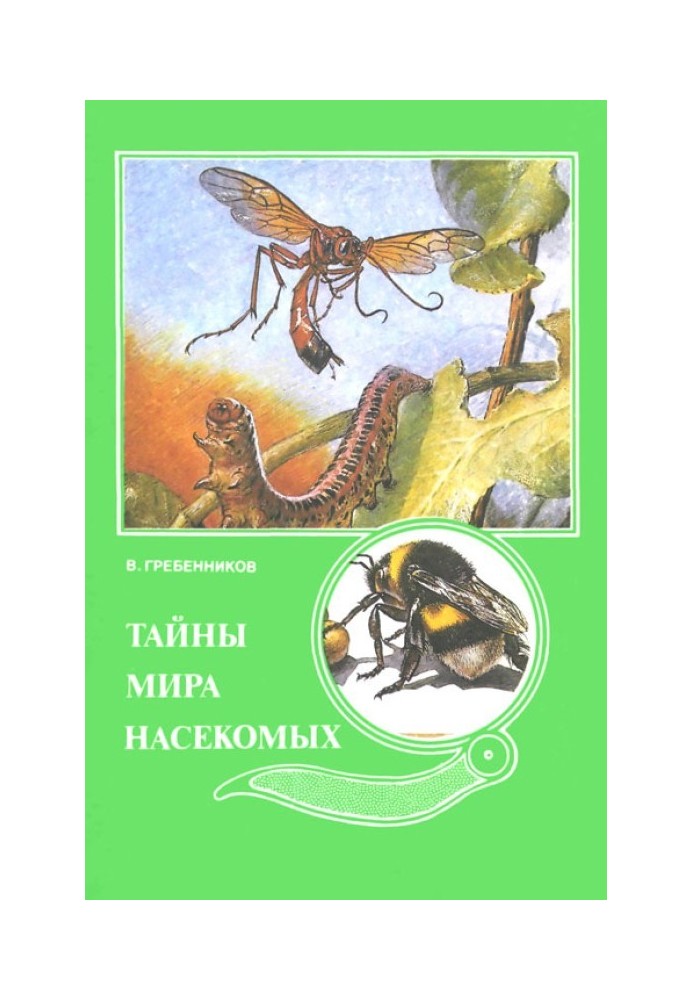 Тайны мира насекомых