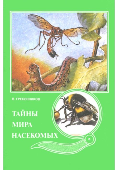 Тайны мира насекомых