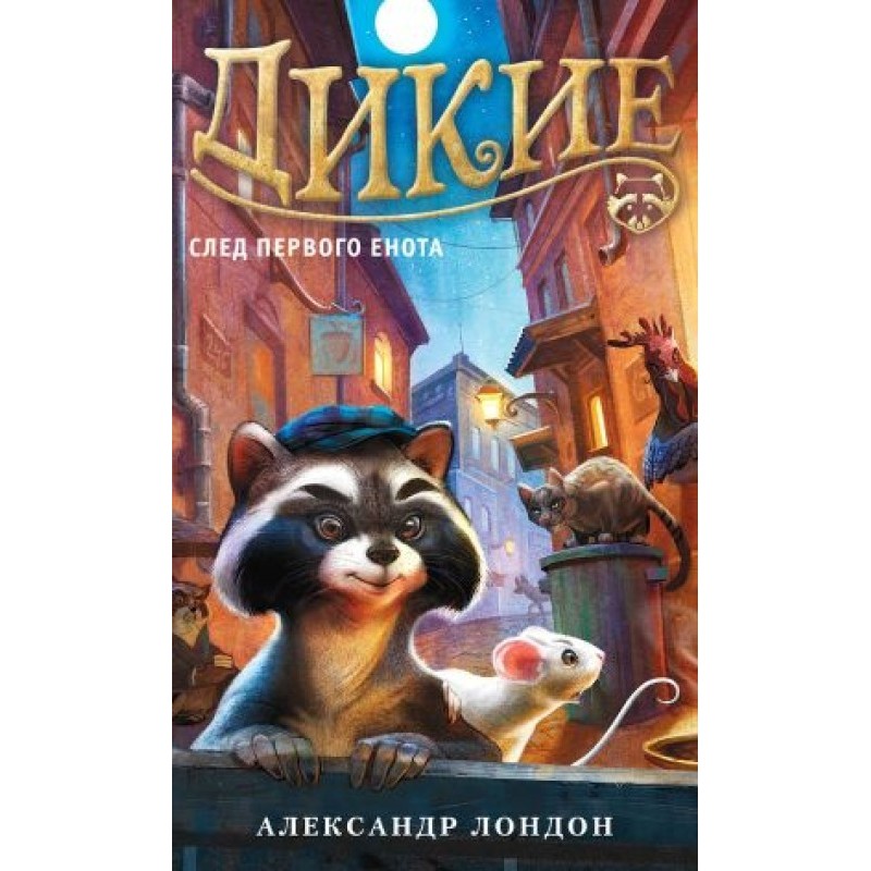 Trail of the First Raccoon