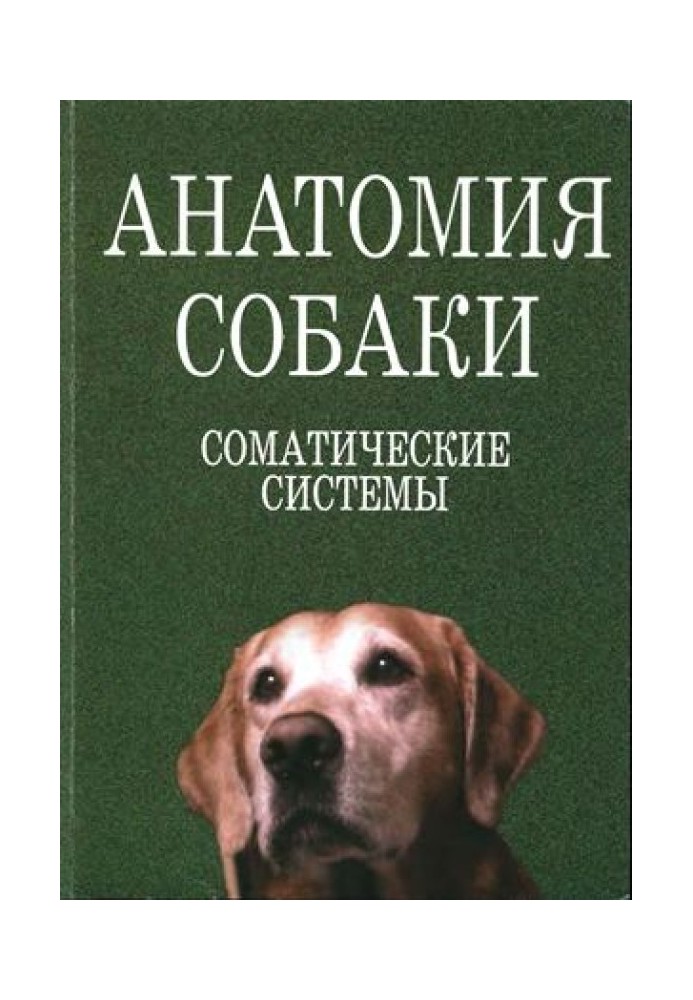 Анатомія собак. Соматичні системи