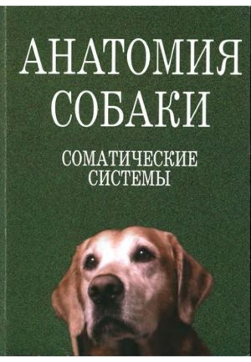 Анатомия собаки. Соматические системы