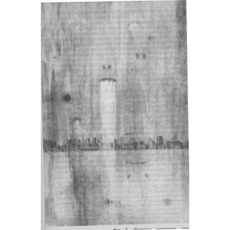 Один современный миф