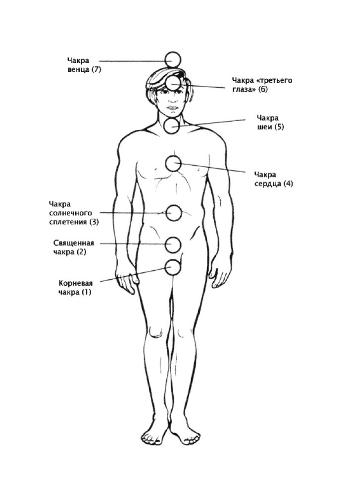 Chakras for Beginners