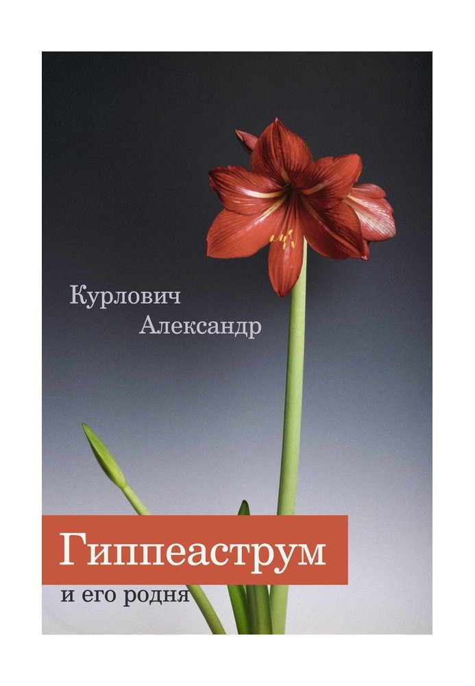 Hippeastrum and its relatives