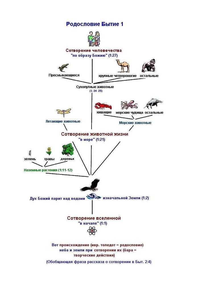 Life story. Creation and Evolution in the Bible and Natural History