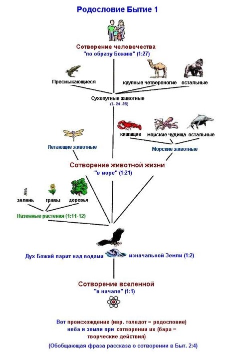 Life story. Creation and Evolution in the Bible and Natural History