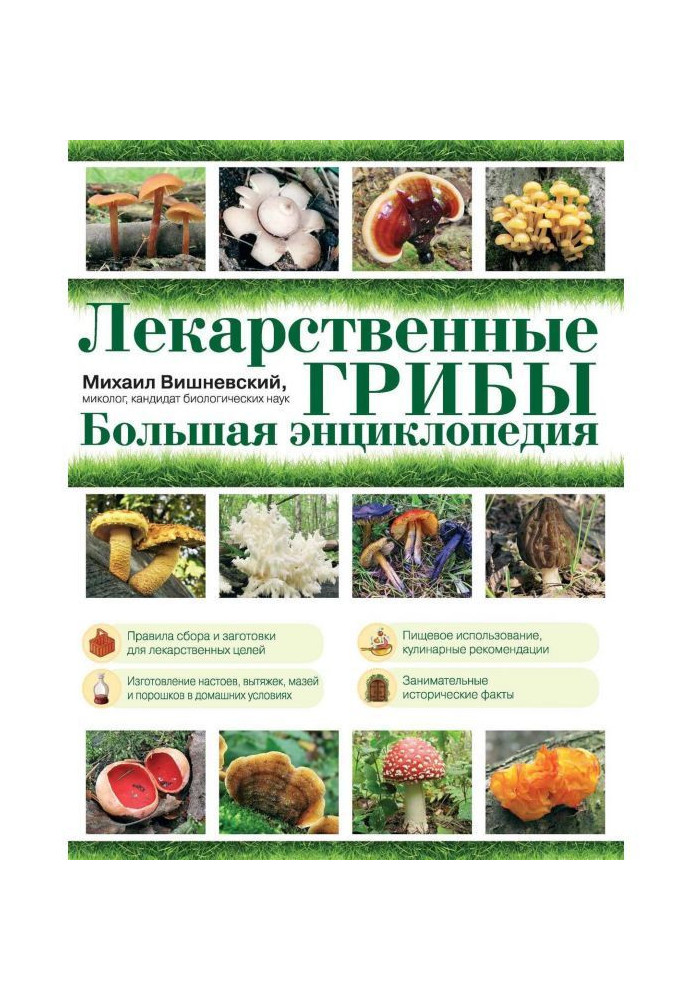 Medicinal mushrooms. Large encyclopaedia