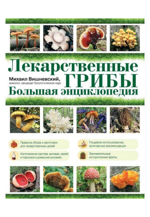 Medicinal mushrooms. Large encyclopaedia