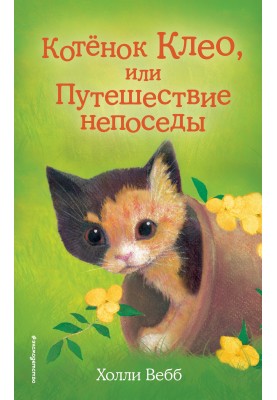 Kitten Cleo, or the Journey of the Fidget