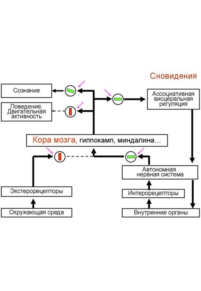 Основний парадокс стану сну та його експериментальний дозвіл