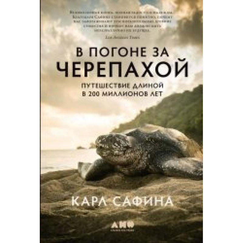 Chasing the turtle. A...