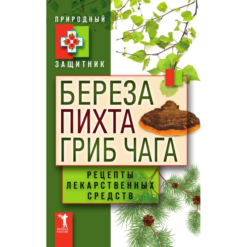 Birch, fir and chaga...