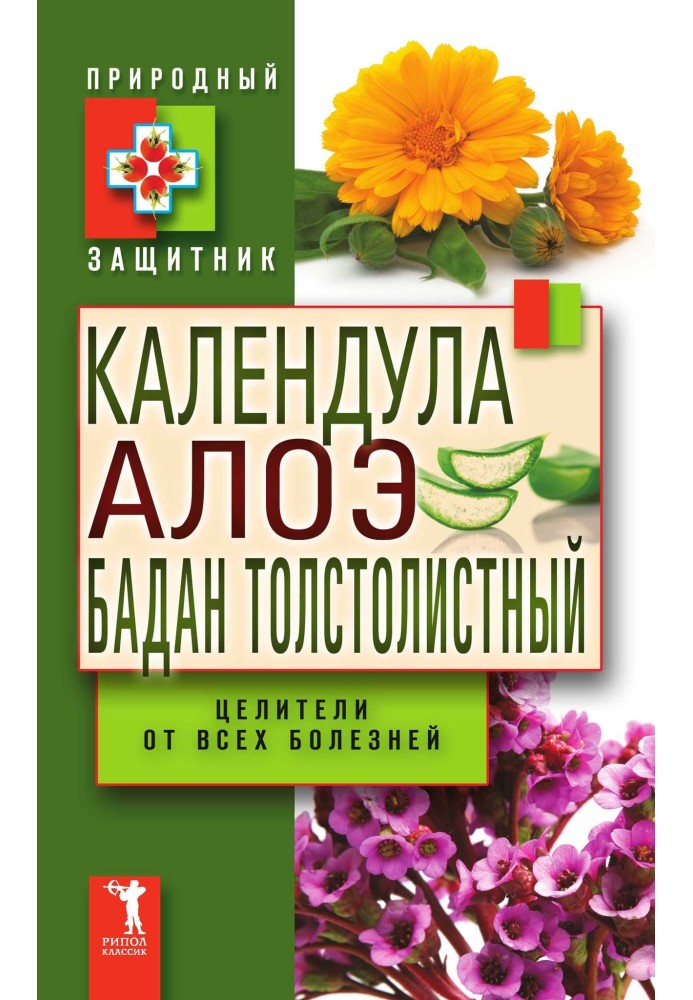 Календула, алое і бадан товстолистий - цілителі від усіх хвороб