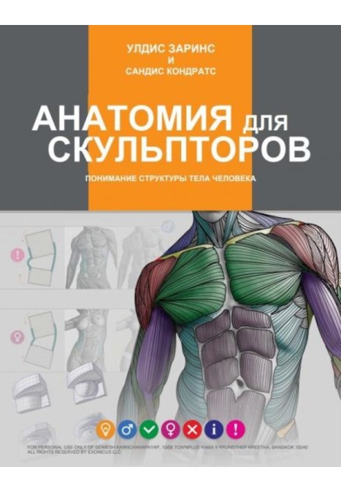 Anatomy for sculptors