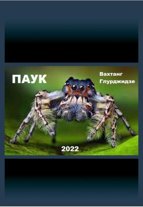 Павук