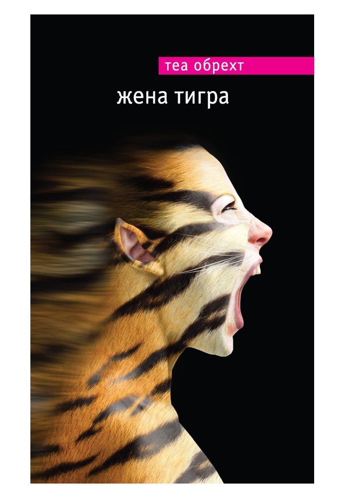 Дружина тигра