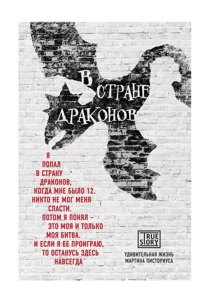 В стране драконов