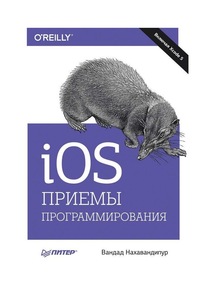 iOS. Programming Techniques