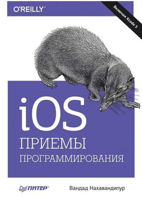 iOS. Programming Techniques