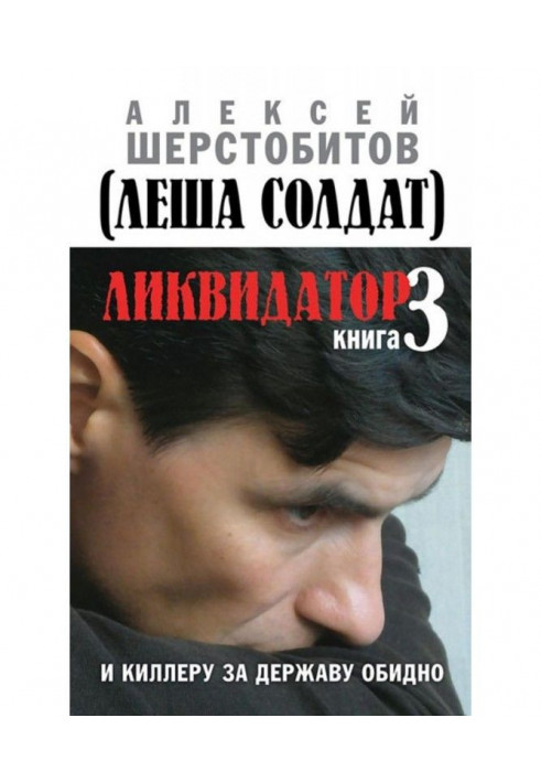 Ліквідатор. Книга 3. І кілерові за державу образливо