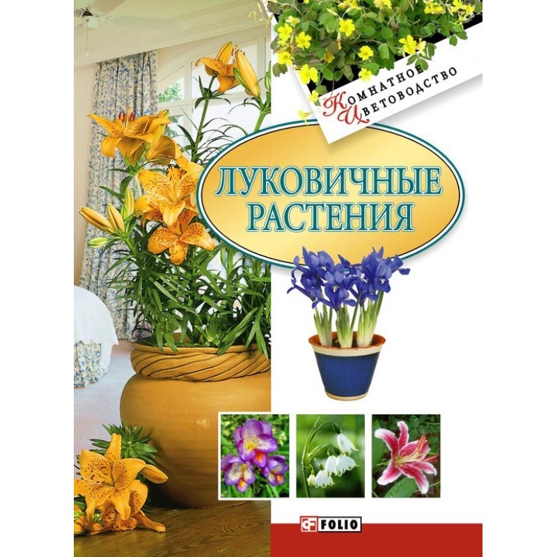 Цибулинні рослини