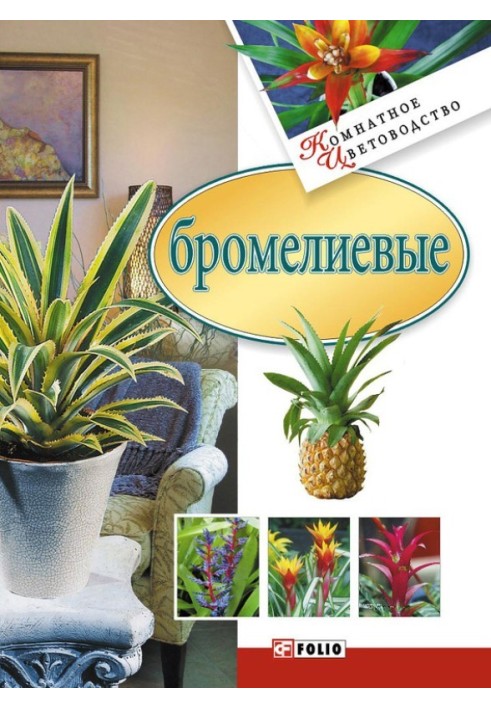 Bromeliads