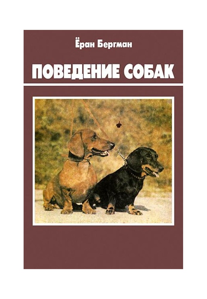 Поведінка собак