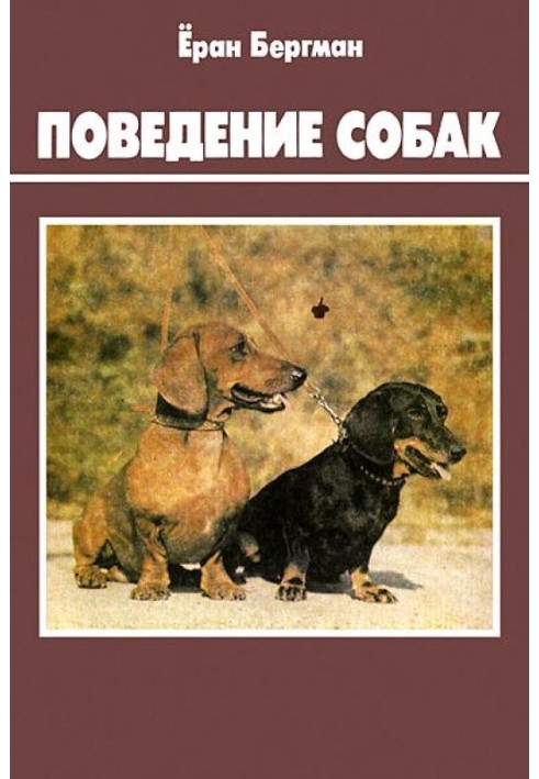 Поведінка собак