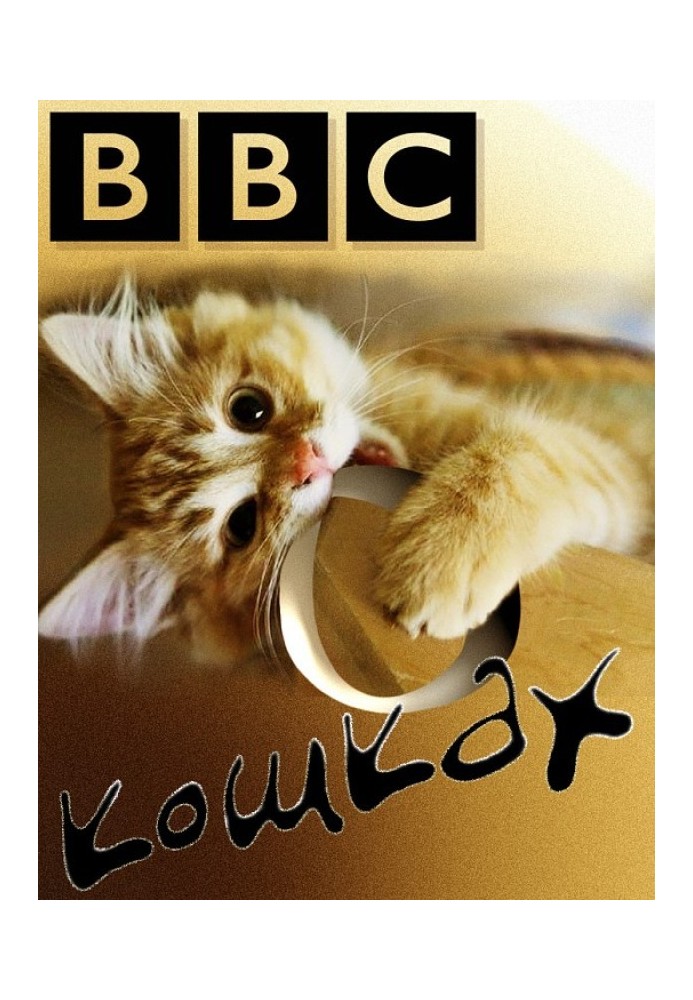 BBC about cats